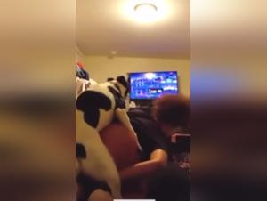 Irresistible Zoophilia: The Dog Pemilik the Dog Girl
