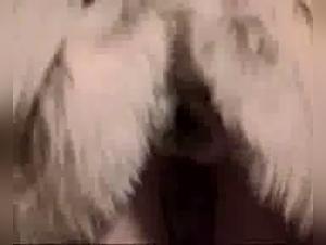 Milly e il suo cavallo: una simbiosi brutalmente sensuale (parte 1)