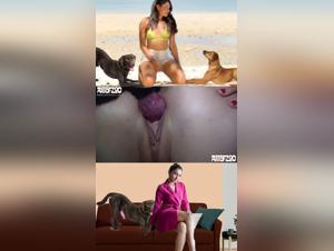 Forbidden Encounters