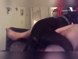 Sex video with a dog: an extreme experience