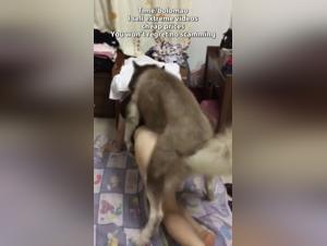 Discover the pleasures of zoophilia with this Asian woman and her dog