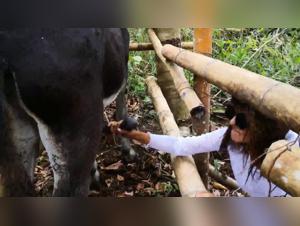 Extreme zoophilia video with Alison and her horse