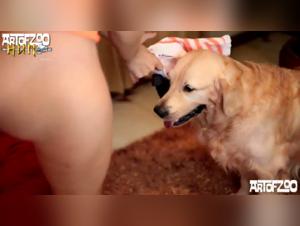 Zoophilia Video: A Forbidden Love Story