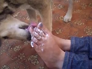Canine Domination, Indian Pleasure: Licking, Whipping and Sensual