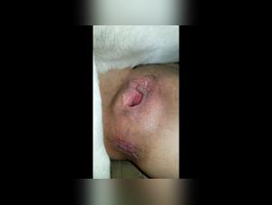 Discover the Forbidden Pleasures of Bestiality