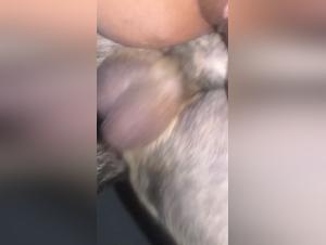 délices interdits: chien, femme, désir insatiable