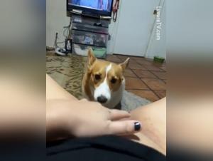 Grenzen erkunden: Frauen und Hunde in Aktion
