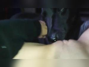 Explore the Animal Fetish: Women Engulfed in Passion