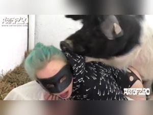 A Sizzling Romance between Dog and Hen