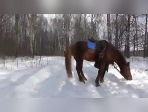 Explore the limits with Katya TeamRussia and her wild horse