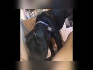 Delizie proibite: cane, sesso e dissolutezza