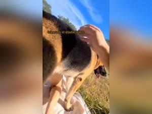Une expérience sexuelle intense avec un chien dans un zoo