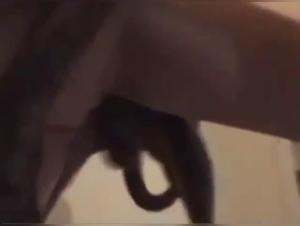 Vidéo de sexe bestialité : Femme amatrice et son chien