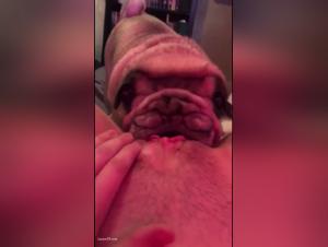 Discover the world of zoophilia with this dog sex video