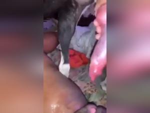 Zoophilia Video: An Extreme Experience