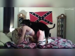 Une soirée inoubliable avec Honey, Star et un ami à quatre pattes