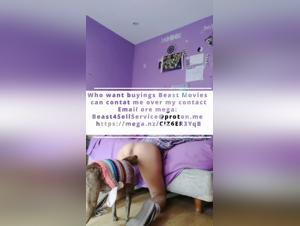 art of zoo and zoobeeg