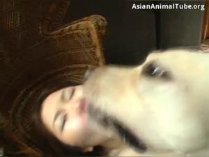 Regardez cette fille et son chien dans des moments extrêmes de bestialité