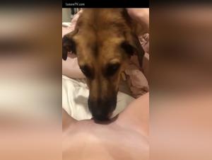 A unique zoophilia experience