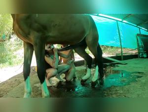 Dominazione equestre: donne scopate da cavalli in scene esplosive