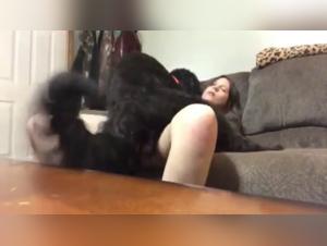 Pushing Ethical Boundaries in Artzoo