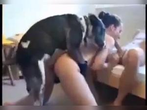 Wild Desires: Milly and her Devouring Love for Dogs