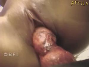 A Thrilling Experience with Man's Best Friend