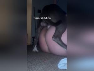 Homegrown Zoophilia, Guaranteed Thrill