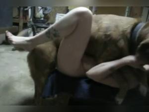 Bestiality sex video with dog