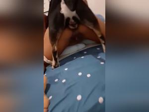 Ethical Dilemmas and Taboo Visions