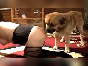 The Pussy and the Dog: A Sexy Pair