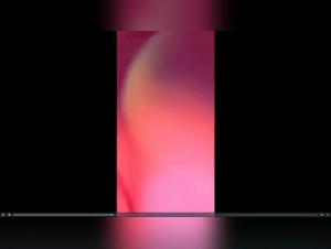 Bestiality sex video: a woman lets herself be fucked by a dog