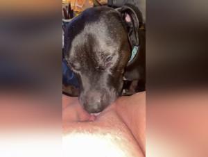 A cougar lesbian woman tickles her partner's neck while he fucks his dog and smokes a cigarette in the background.