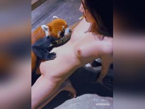 Get Ready to Indulge in the Dirty Acts of Koala Bear