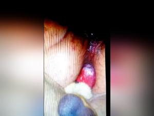 bestialite femme homme