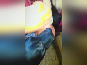 Baci selvaggi e desideri insaziabili: scopri il feticcio degli animali