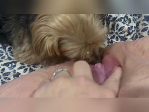 délire canin, appétit insatiable pour une granny mûre et appétissante
