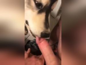 A Woman Discovers the Pleasures of Bestiality