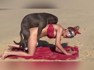 Explore the limits of bestiality with this blonde in a dog sex video