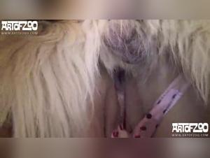Video di Zoofilia Intensely Sexy con Pamela la bellissima figa.