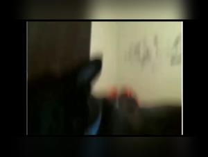 Sex videos with dogs and other animals