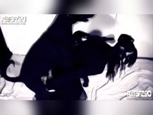 The World of Zoophilia: A Passion Without Bounds