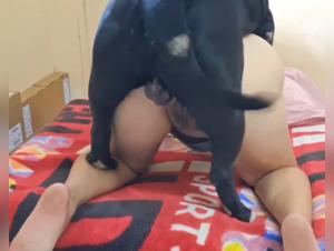 Crude Zoophilia: A Woman Under the Control of Absolute Evil