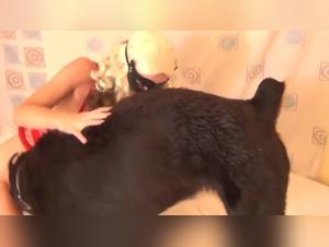 Taboo immersion: canine sexploitation and prohibited delights