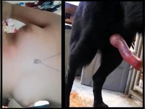 Dog Sex with Woman: Controversial Footage