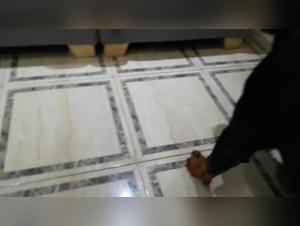 La sua modestia infranta, il suo bisogno irresistibile