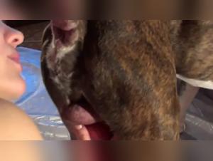 Doggy anal sex with a girlfriend's dog - A hardcore sex session with Beastiegals.