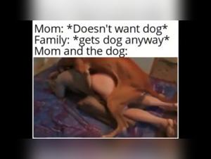 Lurextv : Explorez le Derangeant