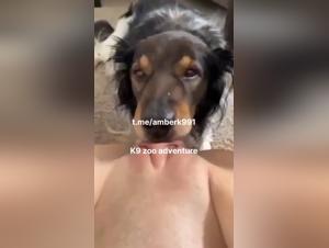 Intense Licking: Female Exploits Under Canine Domination