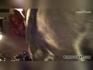 A Bestial and Extreme Sexual Experience